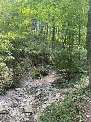 Beautiful creek