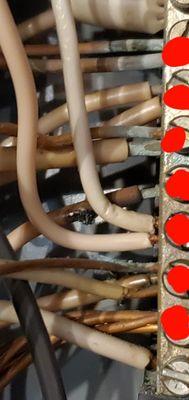 I found chard wires (conductor) in the main panel due to double tapping. This is a fire hazzard.