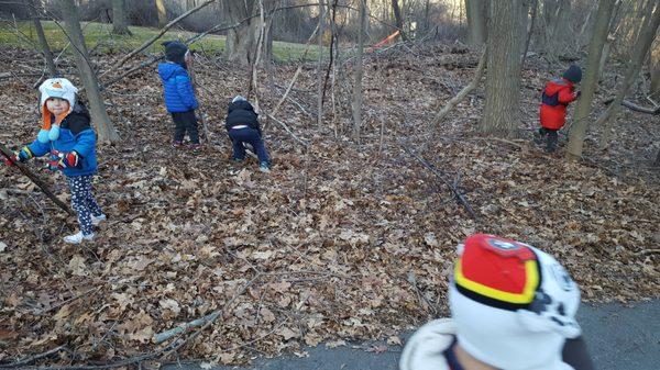 A Winter Walk in our woods