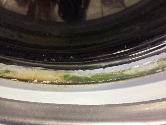 Ew why do all the washers have... molds, algae,  aliens, wtf? 4/2017