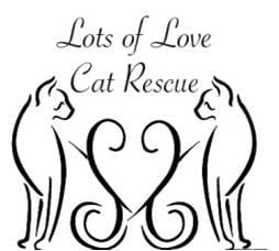 Lots of Love Cat Rescue