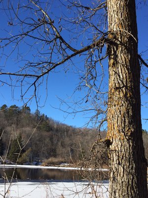 St. Louis River