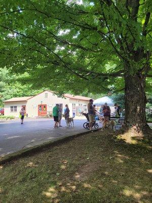 Camp Fido Dog Daycare