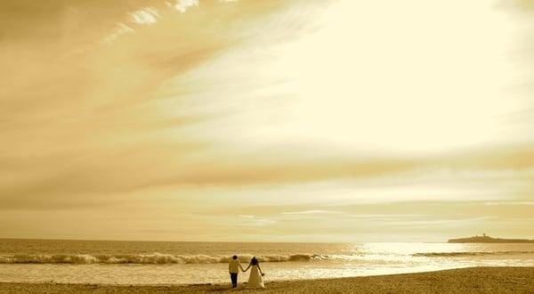 Beach in front of Hastings House