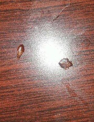 Bed bugs! I really wish I had read the reviews on this place! ALWAYS read the reviews!