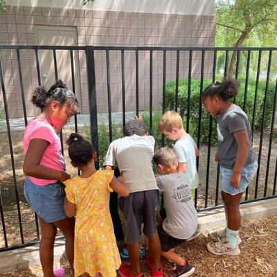 Kids investigating different bugs they can find outside