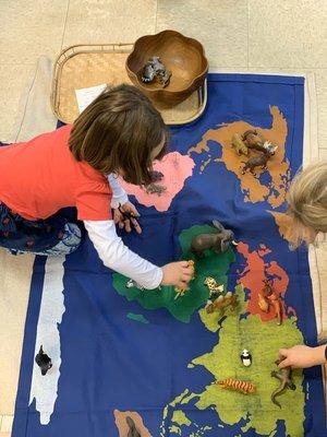 Learning about each continent's native animals  in the cultural area of the classroom!