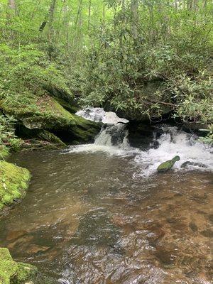 The gorgeous mountain stream we fished.