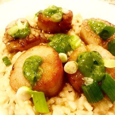 We used the U10 dry scallops in our risotto!