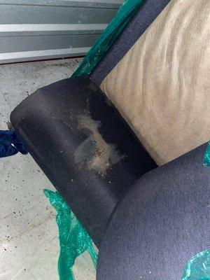 Mice soil and feces on my sofa.