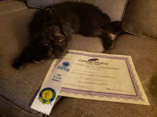 He worked really hard in class to earn that certificate...exhausted