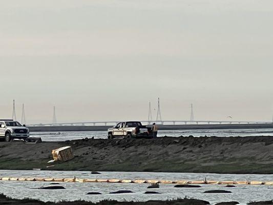 Hike the Mallard Slough Trail - Alviso