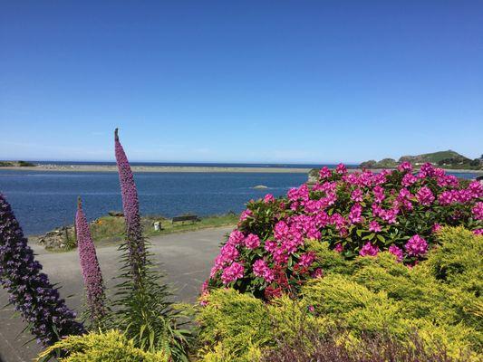 Beautiful View of the Smith River and the Pacific Ocean from our Resort