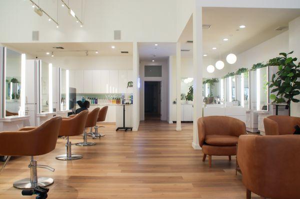 salon & lobby