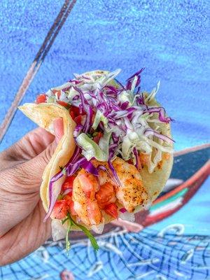 Shrimp Tacos