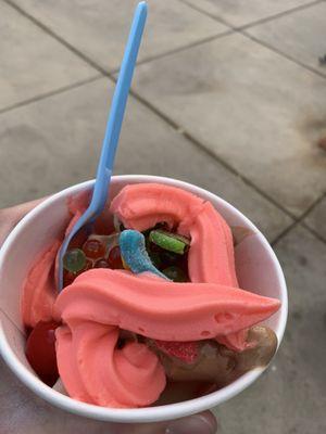 Watermelon Yougurt/Ice cream