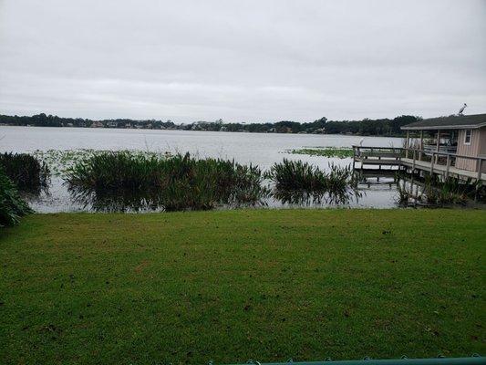 Established Native Species Make The Best Lakefronts