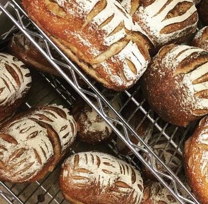 We bake a wide variety of breads daily. Everything from Brioche, to Sourdough, to our most popular bread, Sweet Earth.