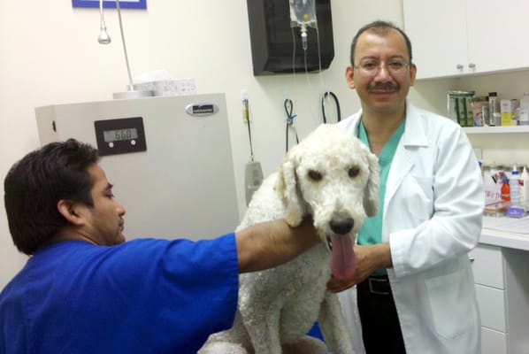 Dr. Briones and his assistant take great care with our dog.