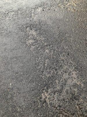 Extremely poor job. The asphalt is cracking up and it has only been 3 months