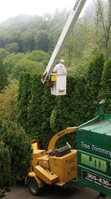 Local (Rainier) bucket truck job.