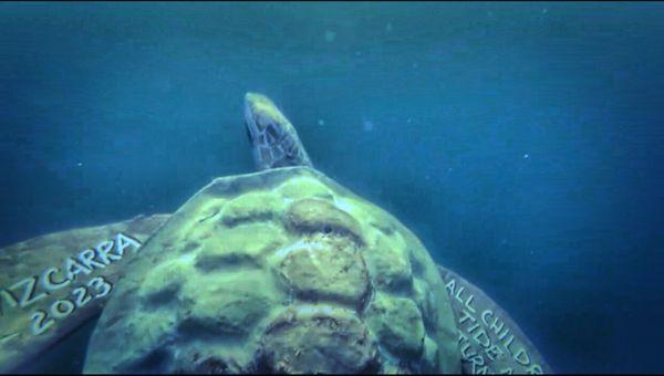 The Honu we purchased from White Rose Aqua Cremation for our son's ashes I used in his paddle-out.