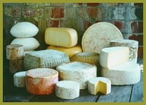 Imported artisanal cheeses from all over the world.