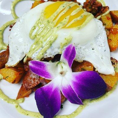 Chorizo Hash 
Mexican Homemade Chorizo w/onion, peppers, potato, basil aioli & one egg on top