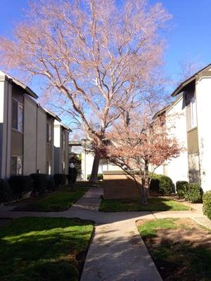 The Village Green Apartments