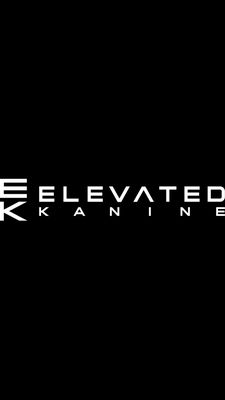 Elevated Kanine