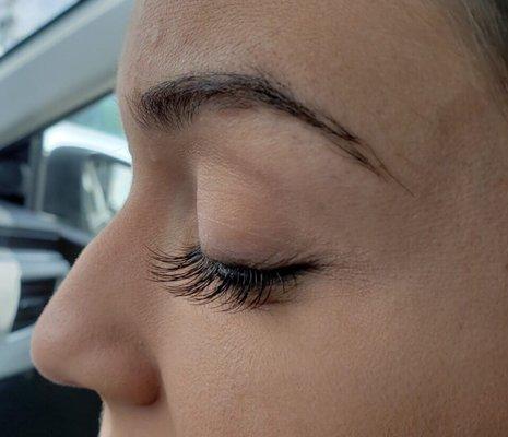 Classic Natural lashes