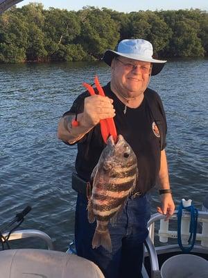 Fish Southwest Fl