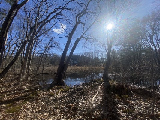 Charles River Peninsula