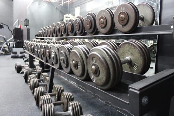 Old School Dumbbells from 10lbs - 135lbs