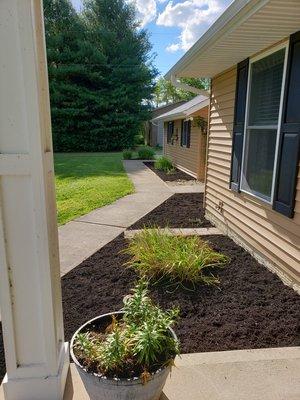 This is after we completed fresh mulch weeds pulled and cleaned up.