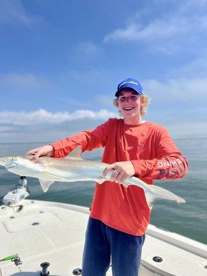 Shark Charter Fishing