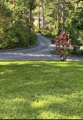 Gentle Nature Landscaping