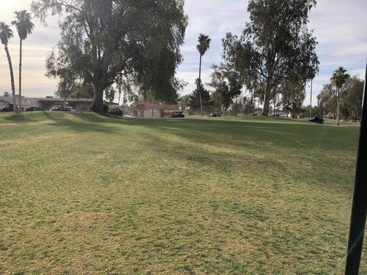 9th green right of tree. Same fairway for 9 and 18 but different greens