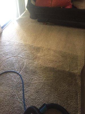 Carpet before and after