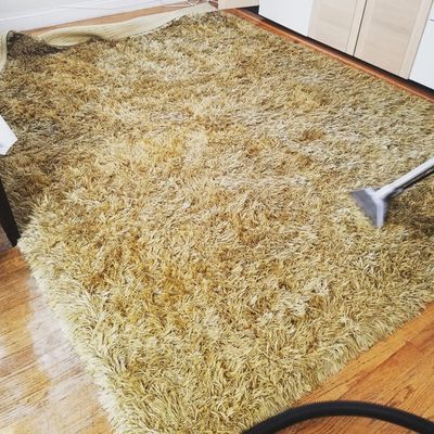 We clean high pile carpets as well.