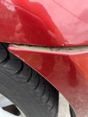 2001 BMW ZR Roadster 
 Rear bumper gapped .  Car just detailed . Old caked dirt that was not visible , is now shown with damaged bumper .