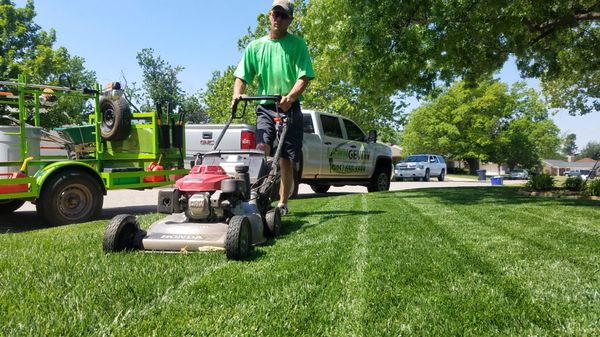 Lawn Maintenance