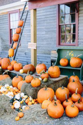 School House Farm