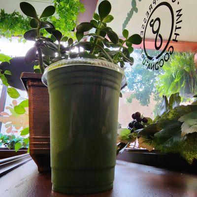 Mainsqueeze Smoothie with Organic Spirulina and plant based protein