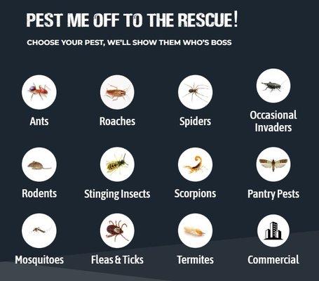 Pest Me Off list of pest we help eliminate.