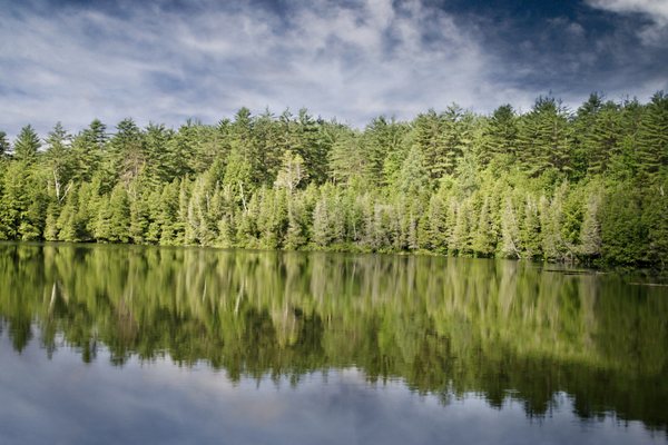 LAKE FRONTS