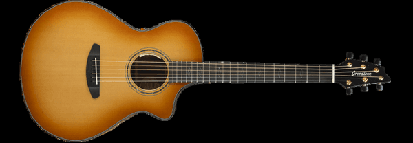 Breedlove Guitars