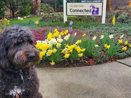 Meet, Charlie! How cute is he? Come and see him today!