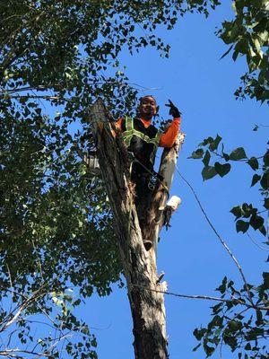 Brothers Tree Service & Landscaping