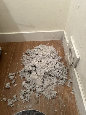 Dryer vent cleaning